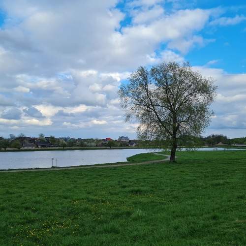 Photo #10664585