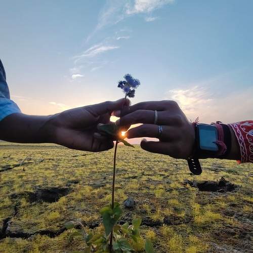 Photo #10664701