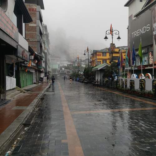Photo #10664858