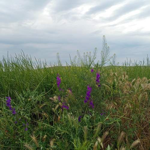 Photo #10664860