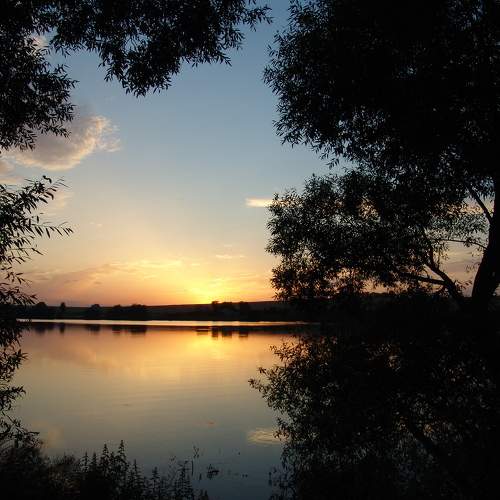 Photo #10664873