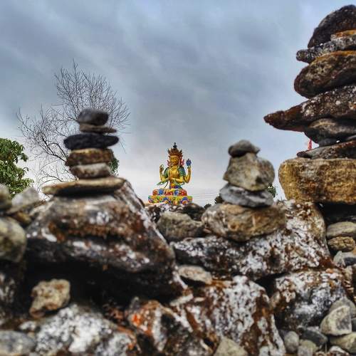Photo #10664995