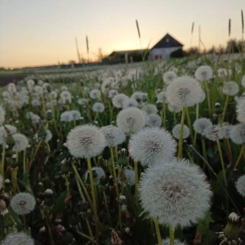 Photo #10665062