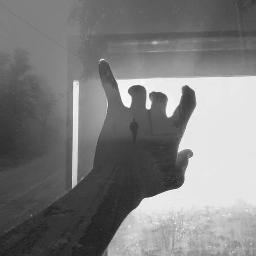 Photo #10665244