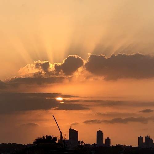 Photo #10665245