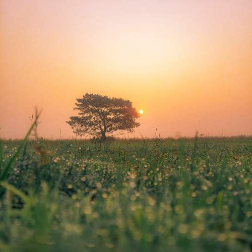 Photo #10665256