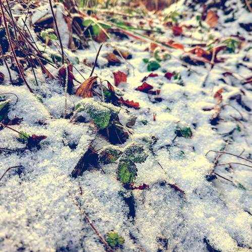 Photo #10665417