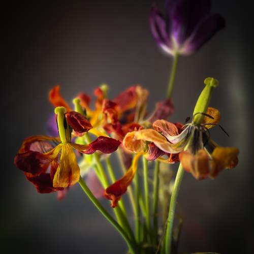 Photo #10665757