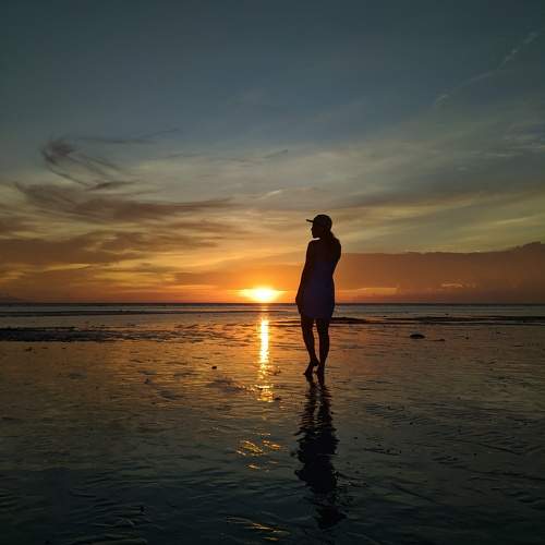Sunset and silhouettes