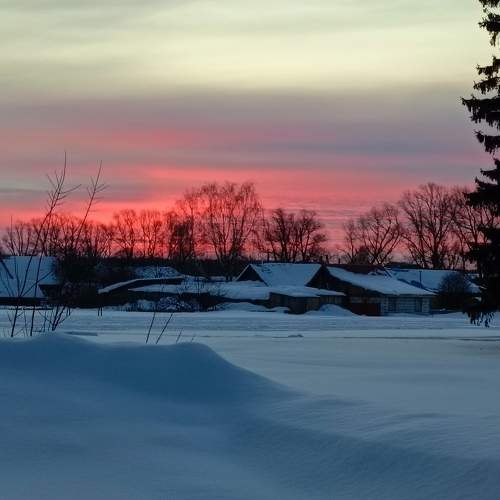 Photo #10665986