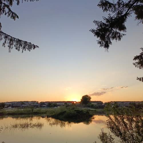 Photo #10665988
