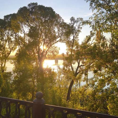 Photo #10666005