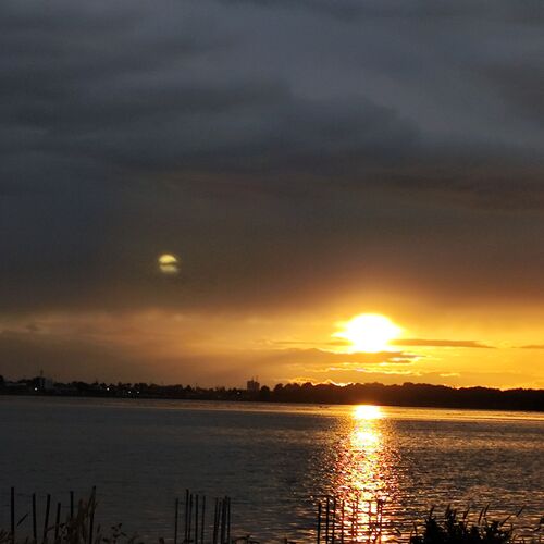 Photo #10666129