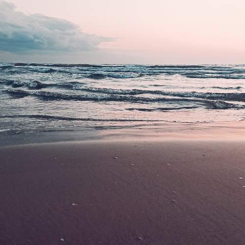 Photo #10666149