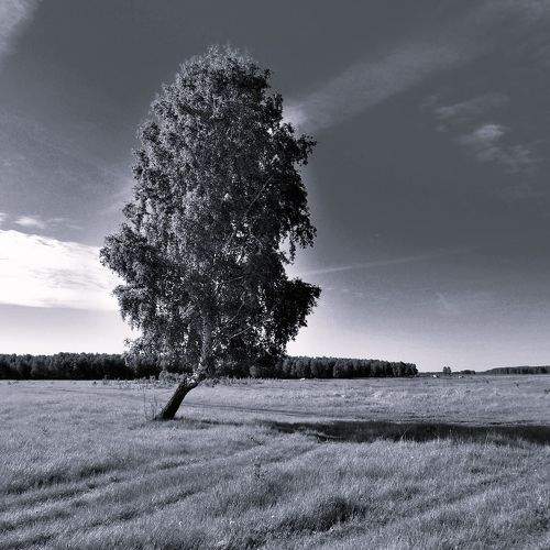 Photo #10666163