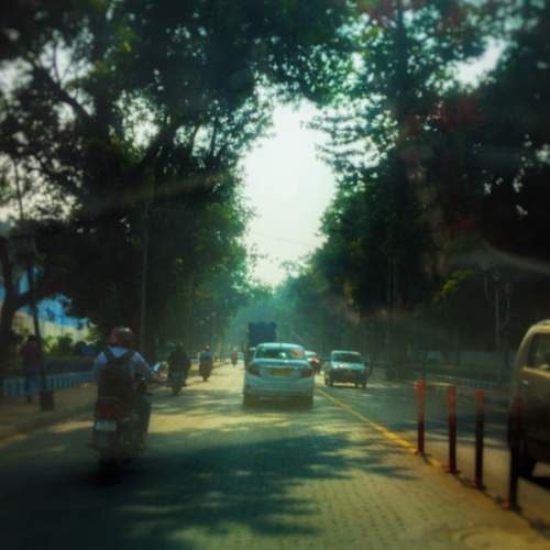 Photo #10666230