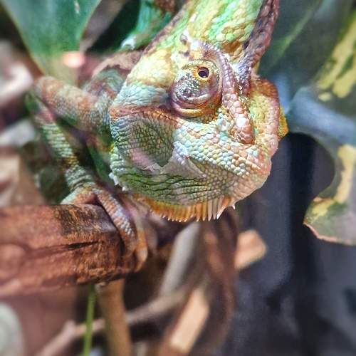 Photo #10666343