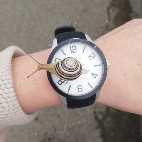 Photo #10666471