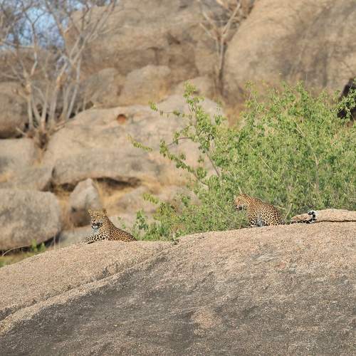 Photo #10666503