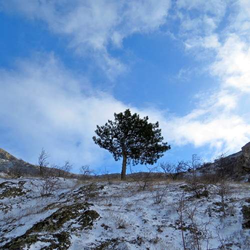 Photo #10666520
