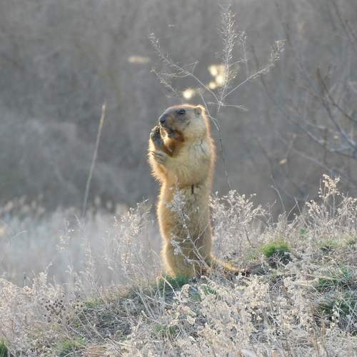 Photo #10666547