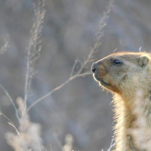 Photo #10666548