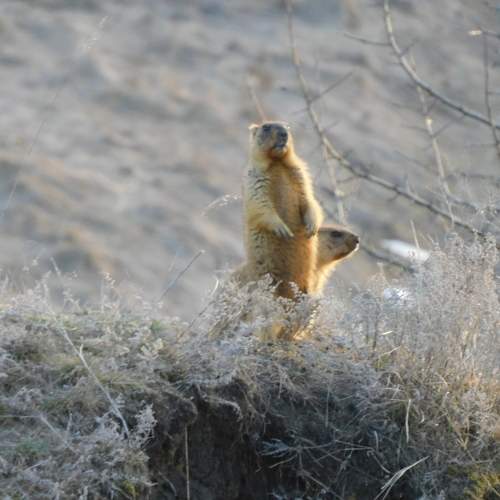 Photo #10666564