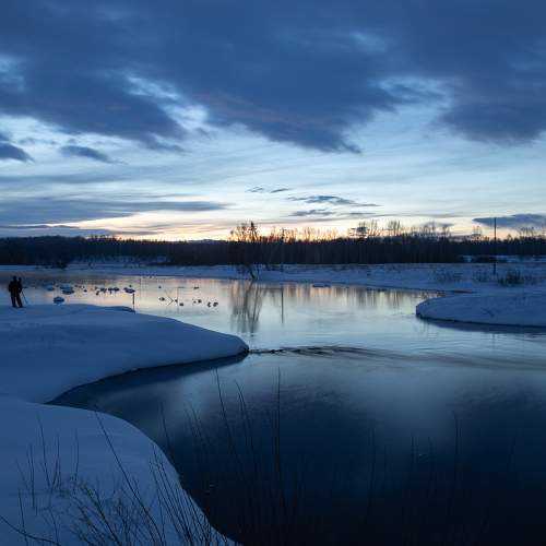 Photo #10666636