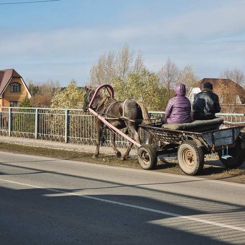 Photo #10666687