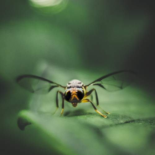 Photo #10666744