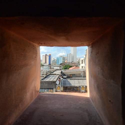 Photo #10666949