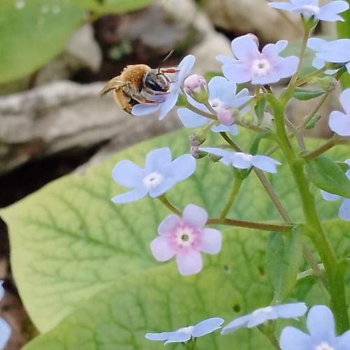 Photo #10667040