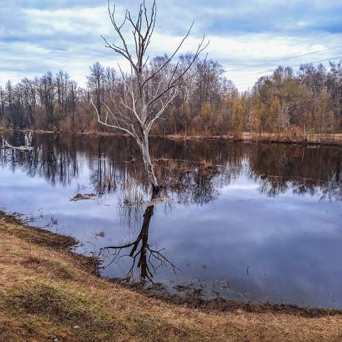 Photo #10667134