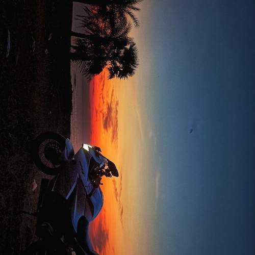 Photo #10667149