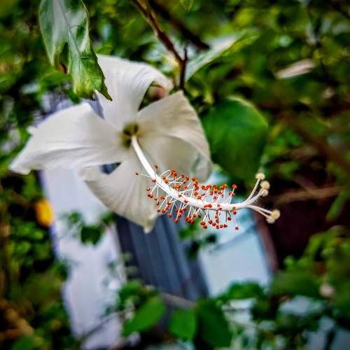 Photo #10667250