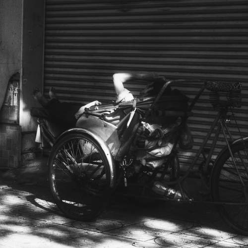 Photo #10667292