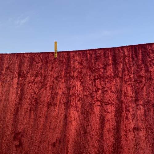 Photo #10667322