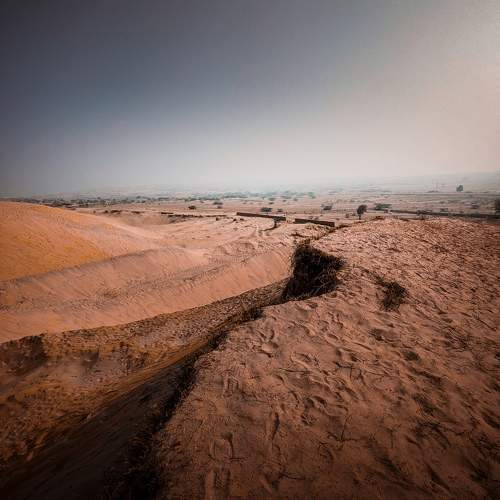 Photo #10667337