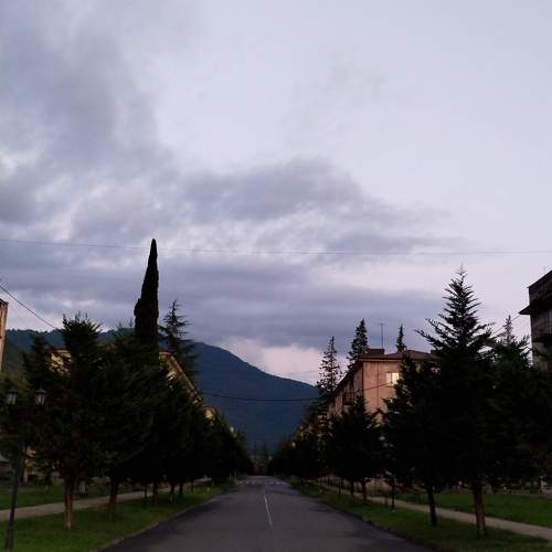 Photo #10667363
