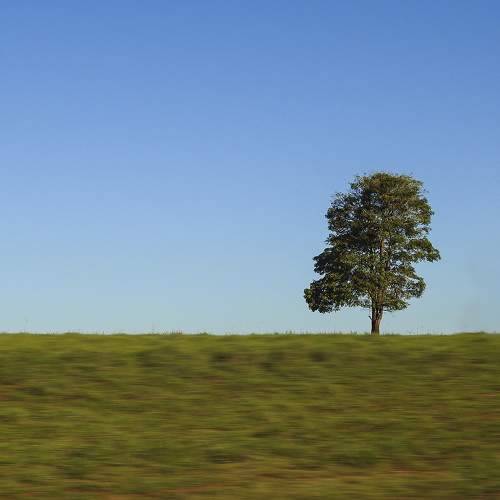 Photo #10667451