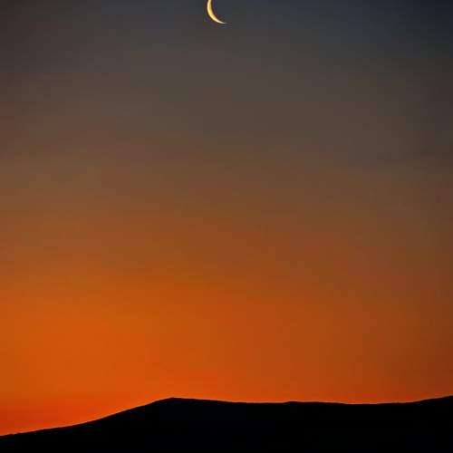 Photo #10667555