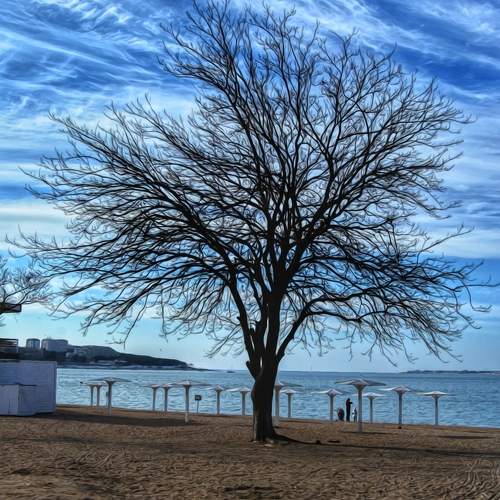 Photo #10667628