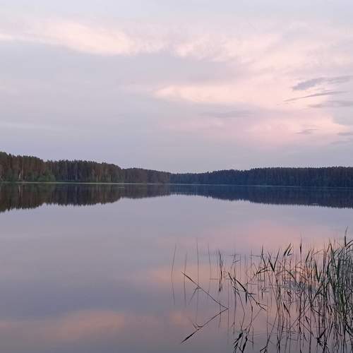 Photo #10667631