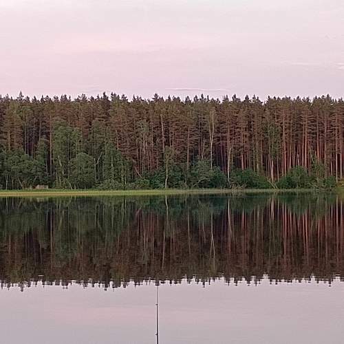 Photo #10667632