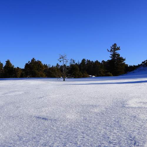 Photo #10667640