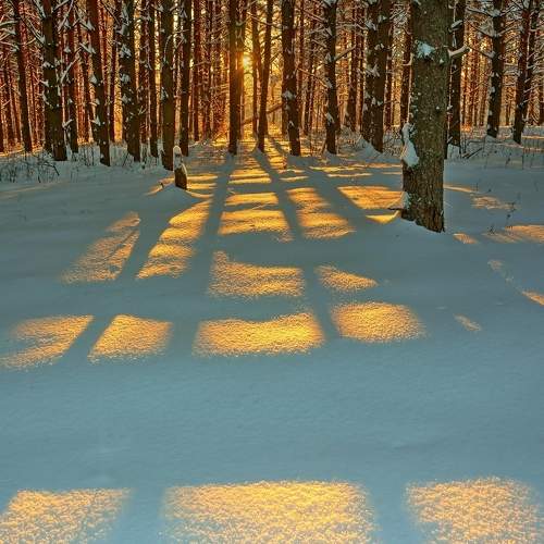 Photo #10667757