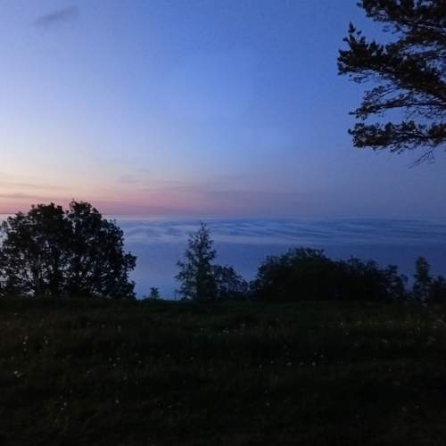 Photo #10667881