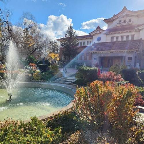 Photo #10667977