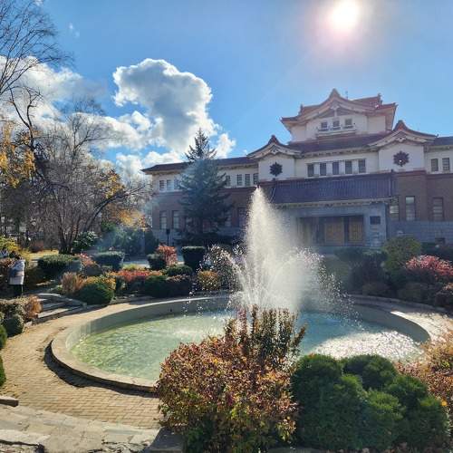 Photo #10667981