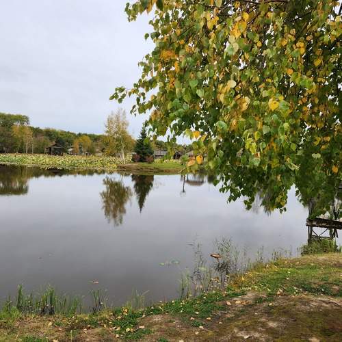Photo #10668294